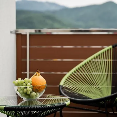 Skylark - Miami Studio With Terrace & Mountain View Apartment Brasov