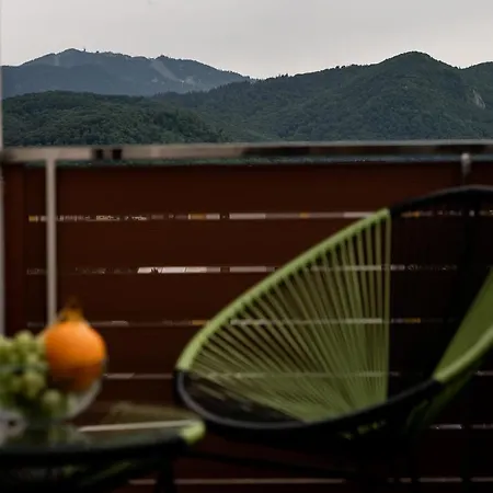 Skylark - Miami Studio With Terrace & Mountain View Brasov